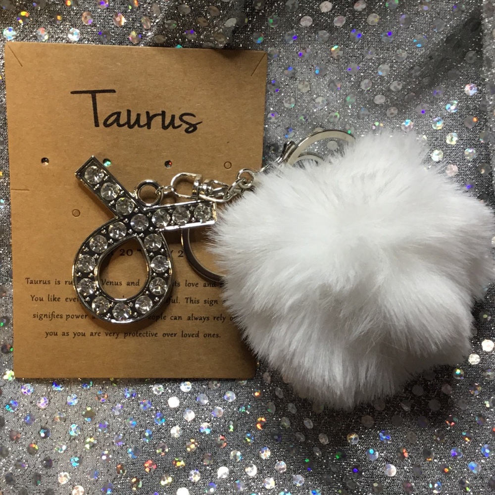 Silver Keychain with White Pom Pom